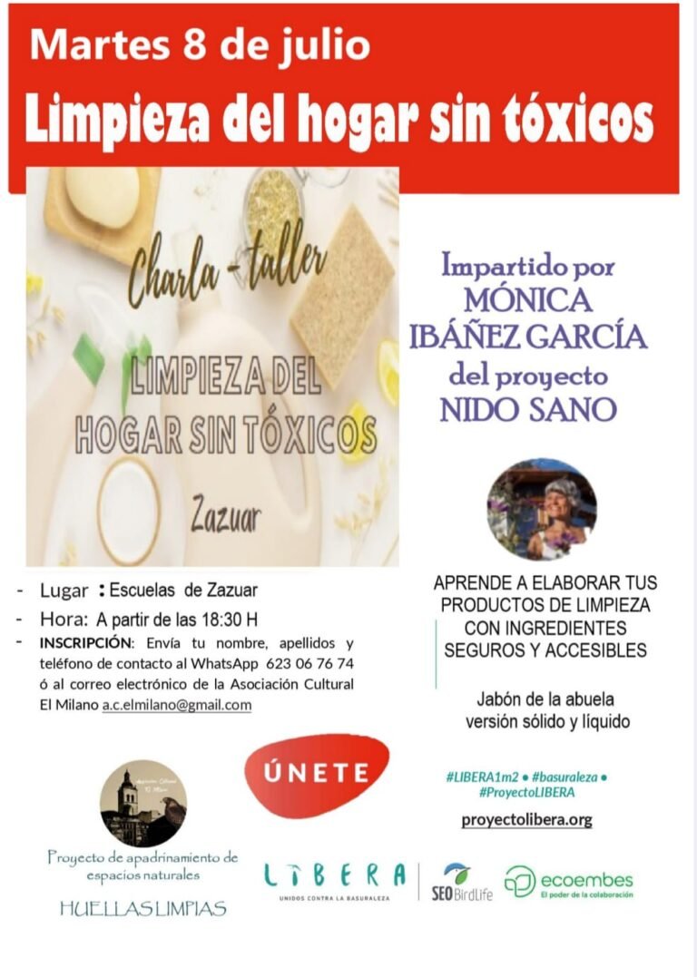 taller jabon zazuar julio 2025